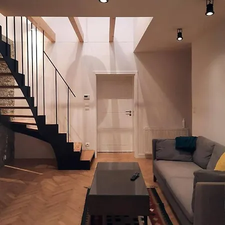 度假居 Buda-family House 布拉迪斯拉发